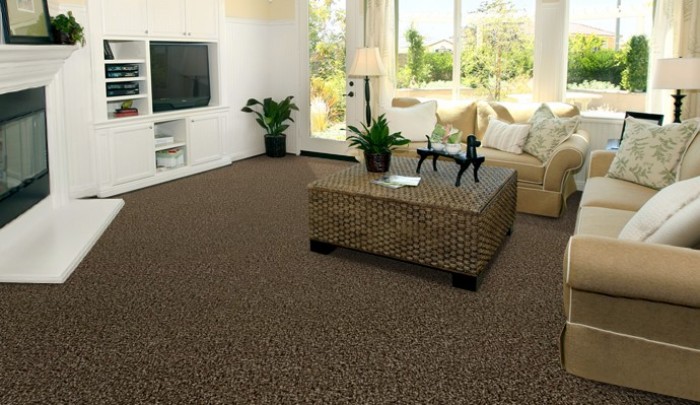 Proclean NSW